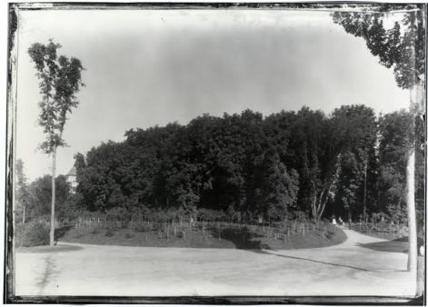 andrassy5.jpg