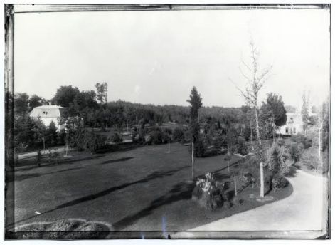andrassy6.jpg